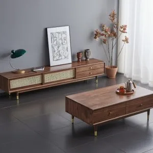 Ke Tivi Go Soi Thiet Ke Hien Dai Ktv11