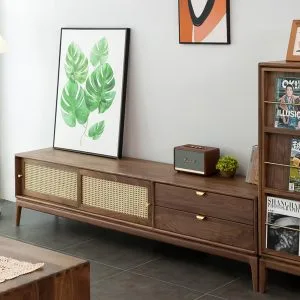 Ke Tivi Go Soi Thiet Ke Hien Dai Ktv19 4